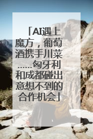 AI遇上魔方，葡萄酒携手川菜……匈牙利和成都碰出意想不到的合作机会