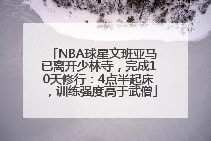 NBA球星文班亚马已离开少林寺，完成10天修行：4点半起床，训练强度高于武僧