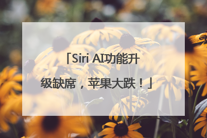 Siri AI功能升级缺席，苹果大跌！