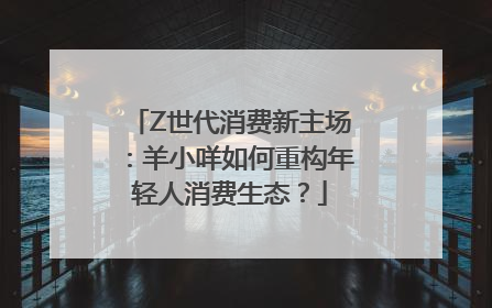 Z世代消费新主场：羊小咩如何重构年轻人消费生态？